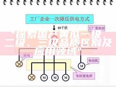 "探索国产黄瓜一级、二级、三级品质区别及应用领域"