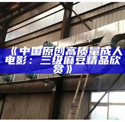 《中国原创高质量成人电影：三级麻豆精品欣赏》
