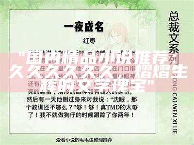"国内精品小说推荐：久久久久久久，熠熠生辉的文学瑰宝"
