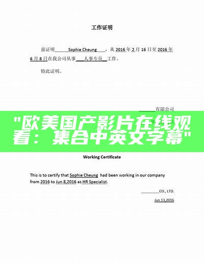 "欧美国产影片在线观看：集合中英文字幕"