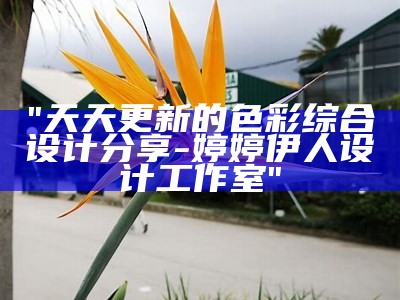 "天天更新的色彩综合设计分享-婷婷伊人设计工作室"