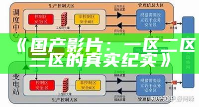 《国产影片：一区二区三区的真实纪实》