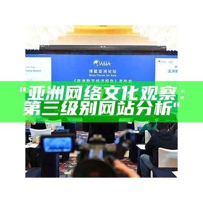 "亚洲网络文化观察：第三级别网站分析"