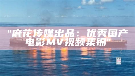 "麻花传媒出品：优秀国产电影MV视频集锦"
