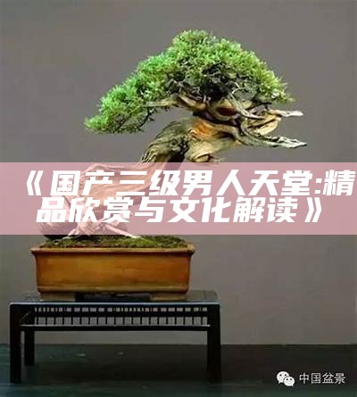 《国产三级男人天堂: 精品欣赏与文化解读》