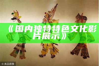《国内独特特色文化影片展示》