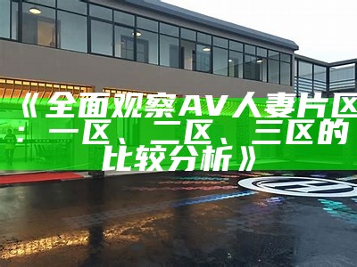 《全面观察AV人妻片区：一区、二区、三区的比较分析》