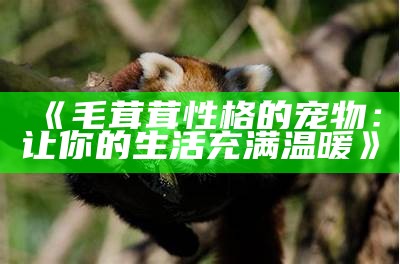 《毛茸茸性格的宠物：让你的生活充满温暖》
