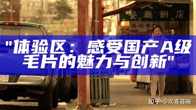 "体验区：感受国产A级毛片的魅力与创新"