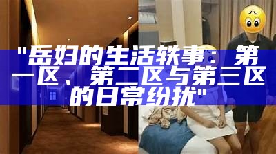 "岳妇的生活轶事：第一区、第二区与第三区的日常纷扰"