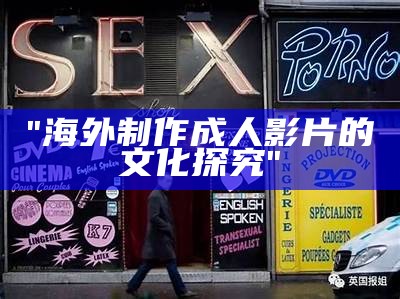 "海外制作成人影片的文化探究"