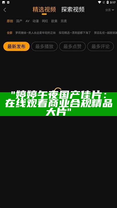 "婷婷午夜国产佳片：在线观看商业合规精品大片"
