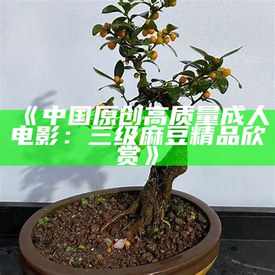 《中国原创高质量成人电影：三级麻豆精品欣赏》