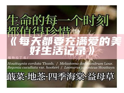 《每天都要充满爱的美好生活记录》