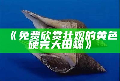 《免费欣赏壮观的黄色硬壳大田螺》