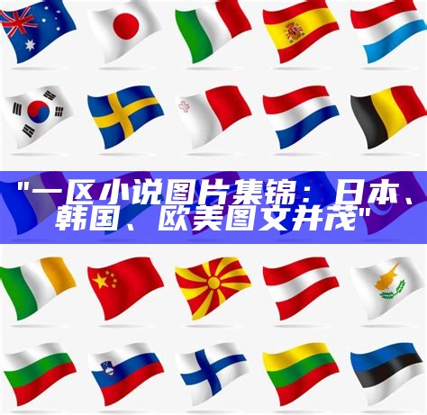 "一区小说图片集锦：日本、韩国、欧美图文并茂"