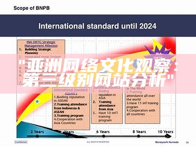 "亚洲网络文化观察：第三级别网站分析"