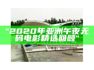 "2020年亚洲午夜无码电影精选回顾"
