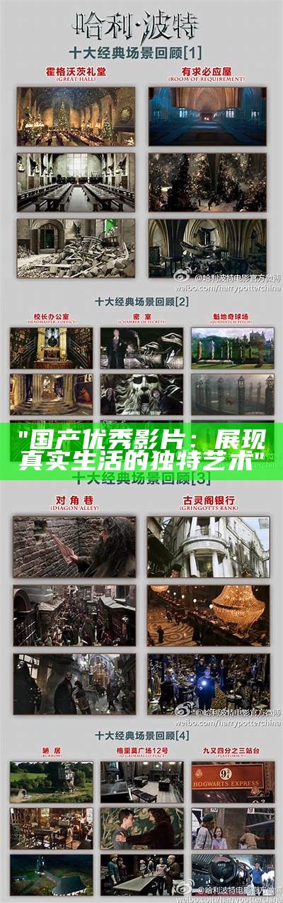 "国产优秀影片：展现真实生活的独特艺术"