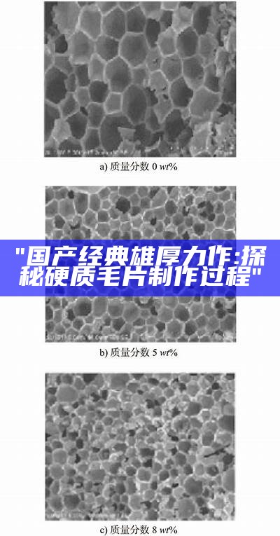 "国产经典雄厚力作:探秘硬质毛片制作过程"