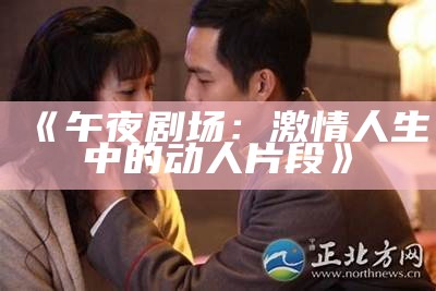 《午夜剧场：激情人生中的动人片段》
