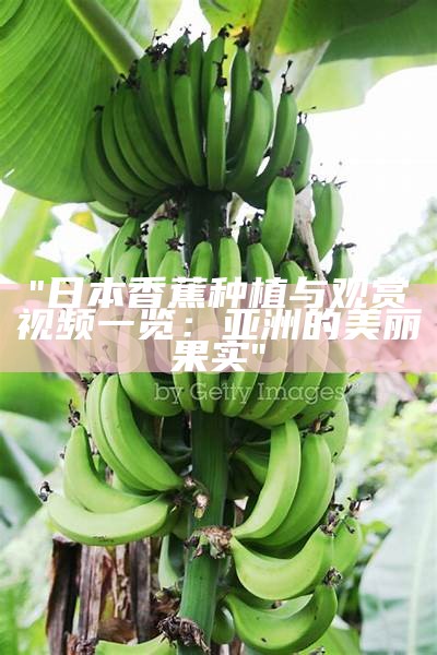 "日本香蕉种植与观赏视频一览：亚洲的美丽果实"