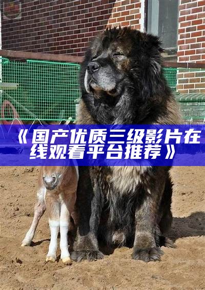 "在线观看欧美及国产一级高清影片"