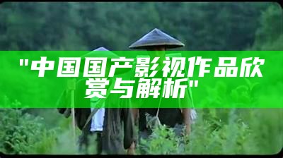 "中国国产影视作品欣赏与解析"