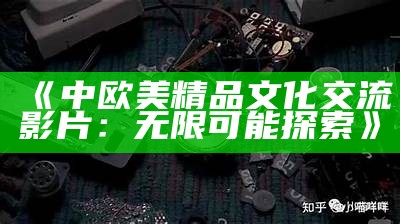 《中欧美精品文化交流影片：无限可能探索》