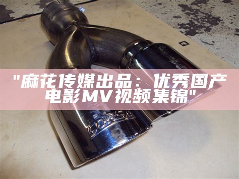 "麻花传媒出品：优秀国产电影MV视频集锦"