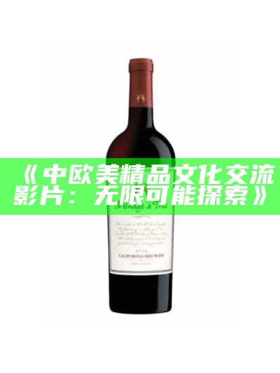 《中欧美精品文化交流影片：无限可能探索》